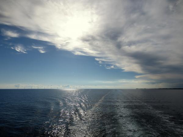 IMG 3885 001